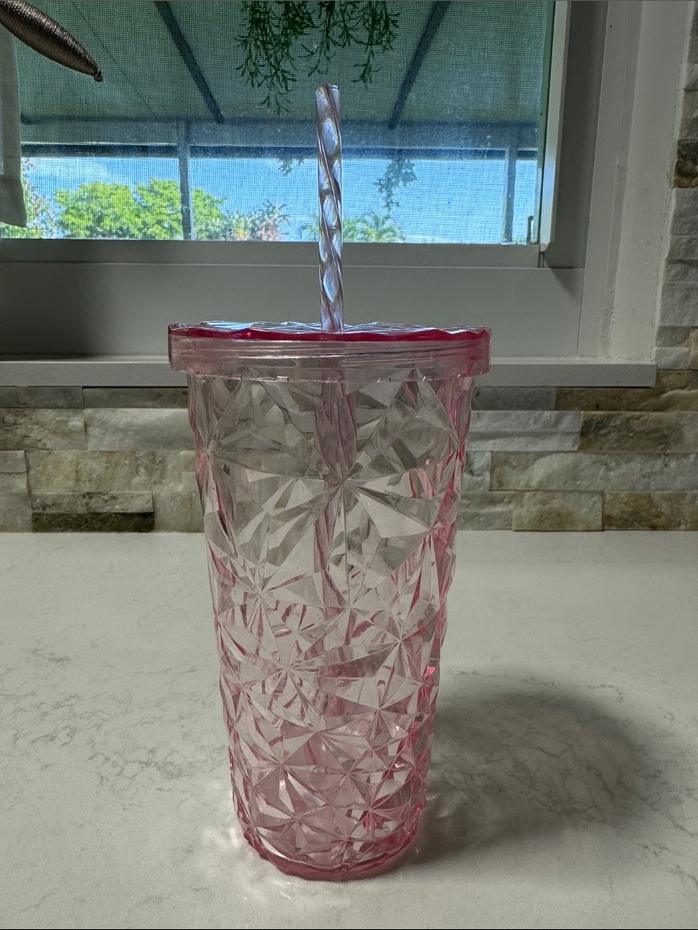 Textured Pink Acrylic Tumbler with Straw